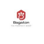 BagaTon profile avatar