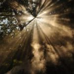 Check out “Purgatory” made by Akanelvl10 post
