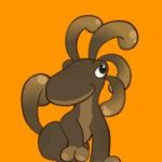 CHACOCOIN token avatar