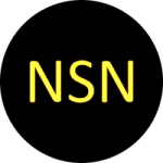 NISHEN token avatar