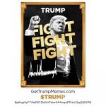 GET TRUMP COIN NOW post