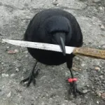 Crow token avatar