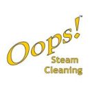 oopssteam profile avatar
