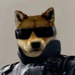 Chinkout profile avatar