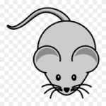 Ratacoin token avatar