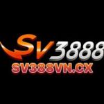 sv388vncx profile avatar