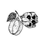 Ackee Coin post