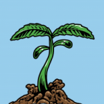 Sprout. post