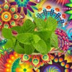 MINTMEs token avatar