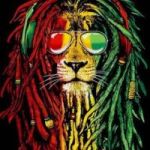 DigiRasta token avatar