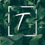 freeearning174 profile avatar