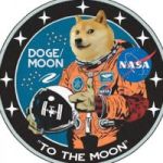 DogeMoon token avatar