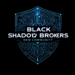 BSB101 token avatar