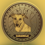 Publicación de The Brazilian Meme Taking Over Crypto