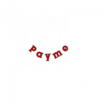 PYMT token avatar