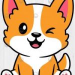 CorgiToken token avatar