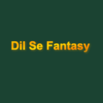 dilsefantasy profile avatar