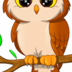 OWLL token avatar
