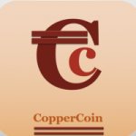 Copper Essentials post
