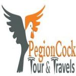 Pegioncock profile avatar