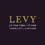 tamirlevy profile avatar