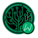 Wrapped EverGreenCoin on MintMe.com post