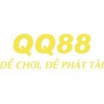 qq88vinet profile avatar