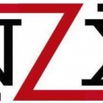 NZXWEB token avatar