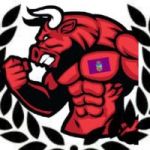 BullCash token avatar