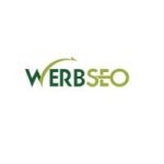 werbseo profile avatar