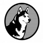 Thordogo token avatar