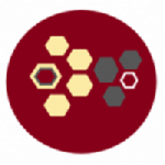 Bisoal token avatar