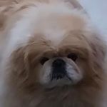 FaustoDGueto profile avatar