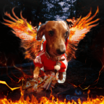 lgriff1975 profile avatar
