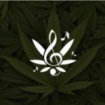 CannaMusic token avatar