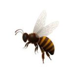 website Under developing post
